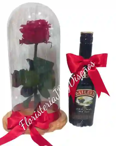 Rosa Preservada Y Botella De Baileys