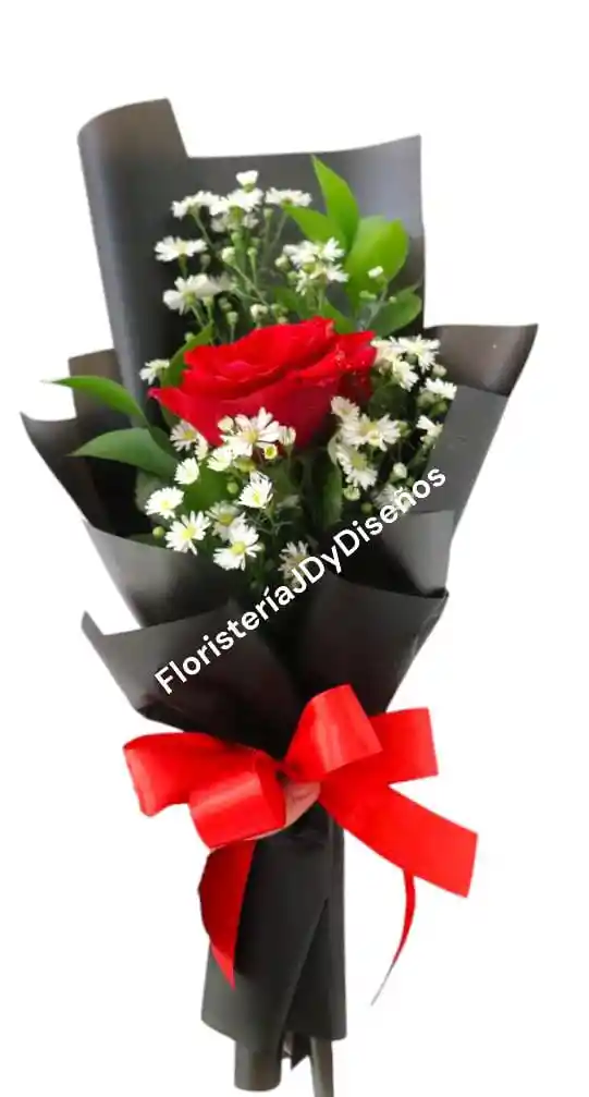 Rosa Solitaria