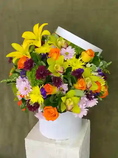 Flower Box Blanco