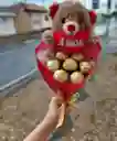 Bouquet Peluche Pequeño Chocolates