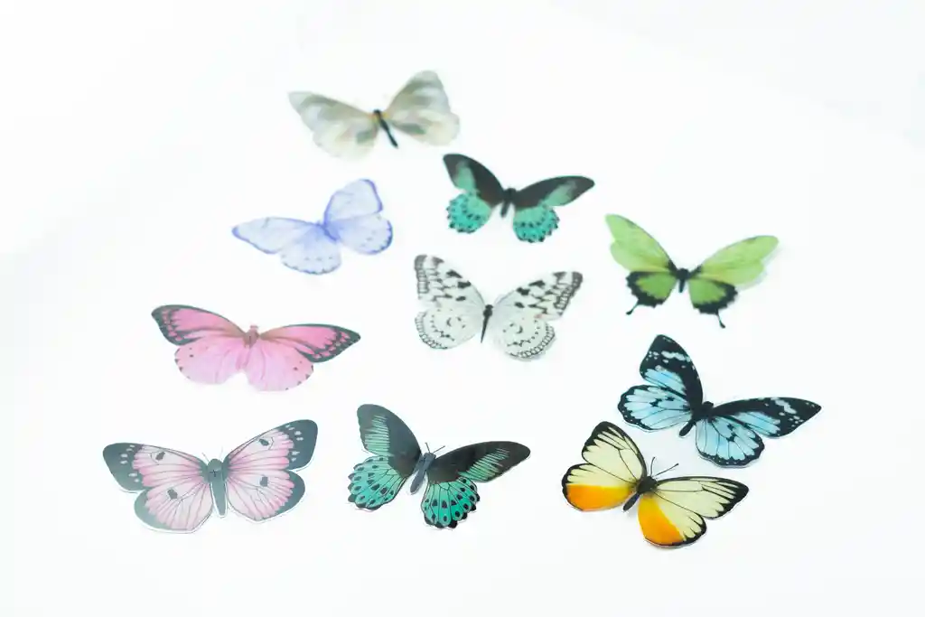 Caja De Mariposas Decorativas