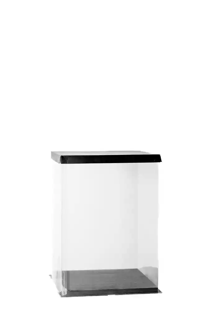 Caja De Regalo En Acetato Mediana