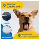 Cama Para Perro Mascota Impermeable Lavable Petpal Mediana