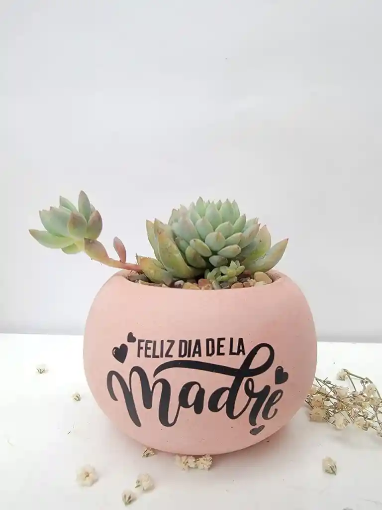 Burbuja Feliz Día De La Madre 💗👑