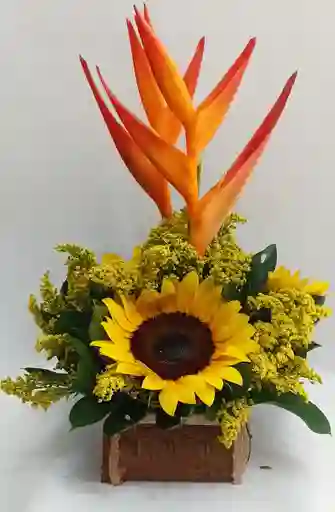 Flores Arte Amor Leal