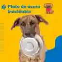 Plato Comida Perro Mascota Set Petpal Set Bebedero + Tapete