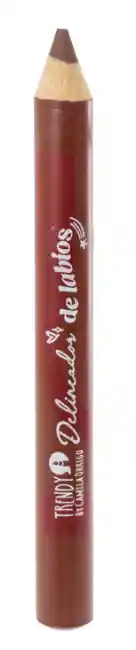 Delineador De Labios Tono 4 Trendy Ref Dlt1270