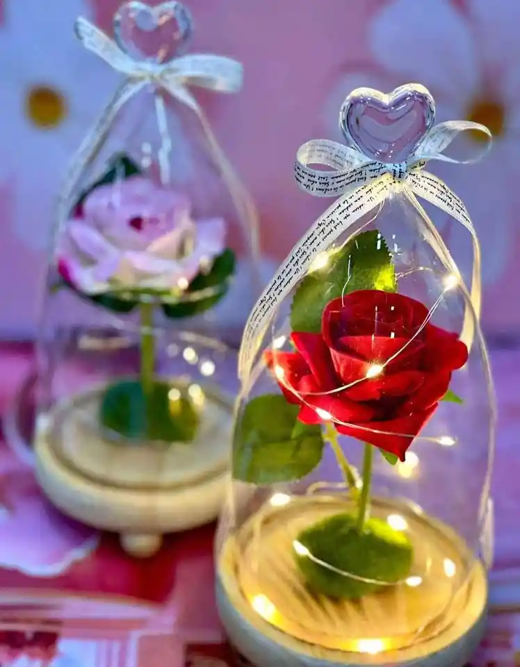 Para Mamá Hermosa Rosa Encapsulada🌹