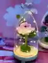 Para Mamá Hermosa Rosa Encapsulada🌹