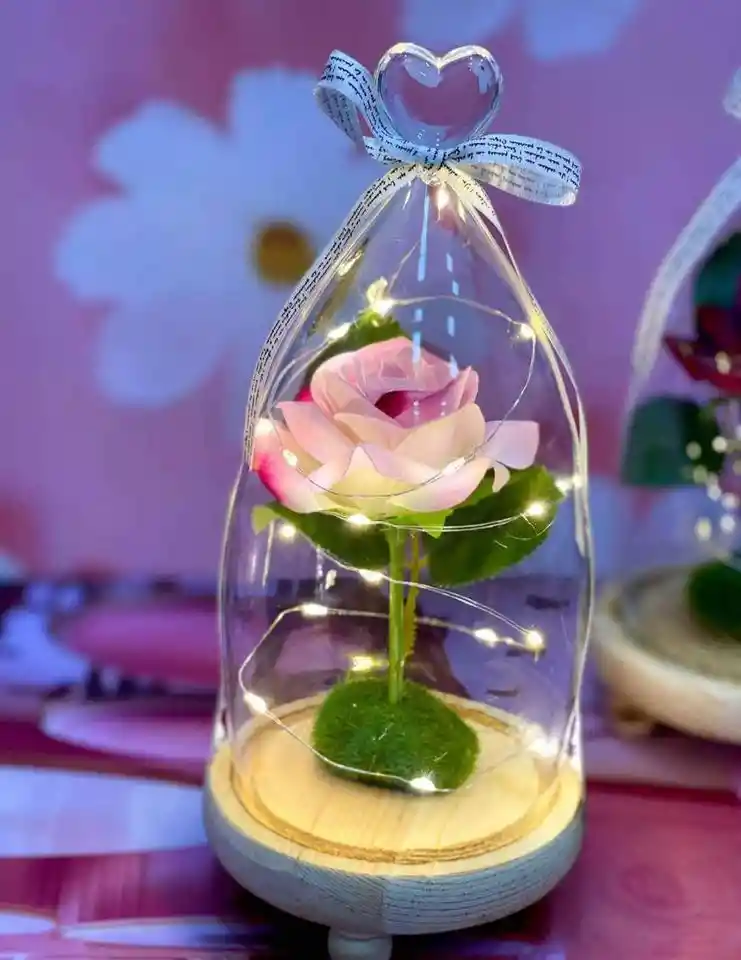 Para Mamá Hermosa Rosa Encapsulada🌹