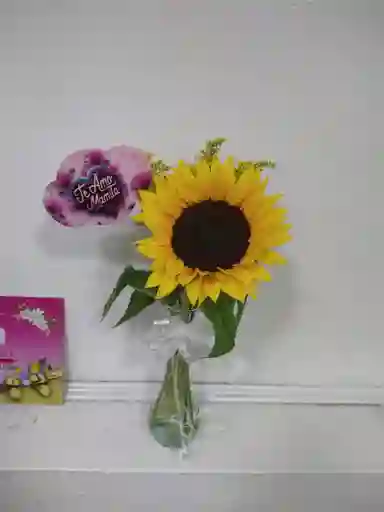 Arreglo Floral Solicitario De 1 Girasol Con Jarron