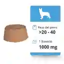 Bravecto Tableta Masticable 20-40kg