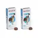 Bravecto Tableta Masticable 20-40kg