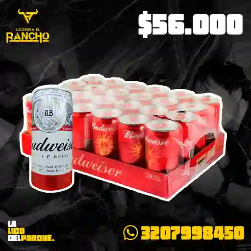 Budweiser Paca X24und