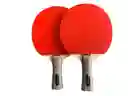 Raquetas De Tenis De Mesa Ping Pong