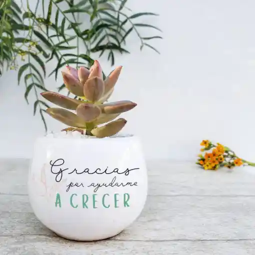 Regalo Gracias Por Ayudarme A Crecer 🌷 – (empaque Especial)