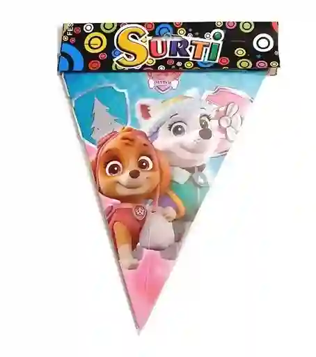 Banderines Niña Paw Patrol Cada Banderin Mide 22 X 17 Cm