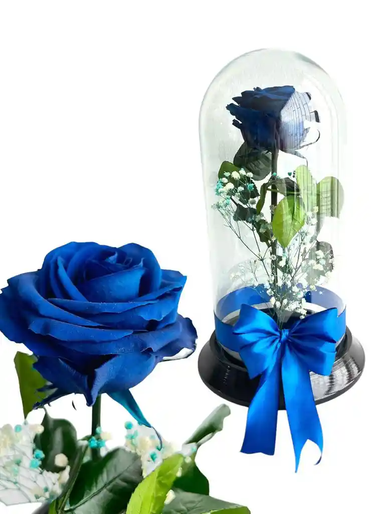 Rosa Inmortalizada Azul Rey - Rosa Preservada - Regalo Feliz Dia De Amor Y Amistad - Regalo Especial