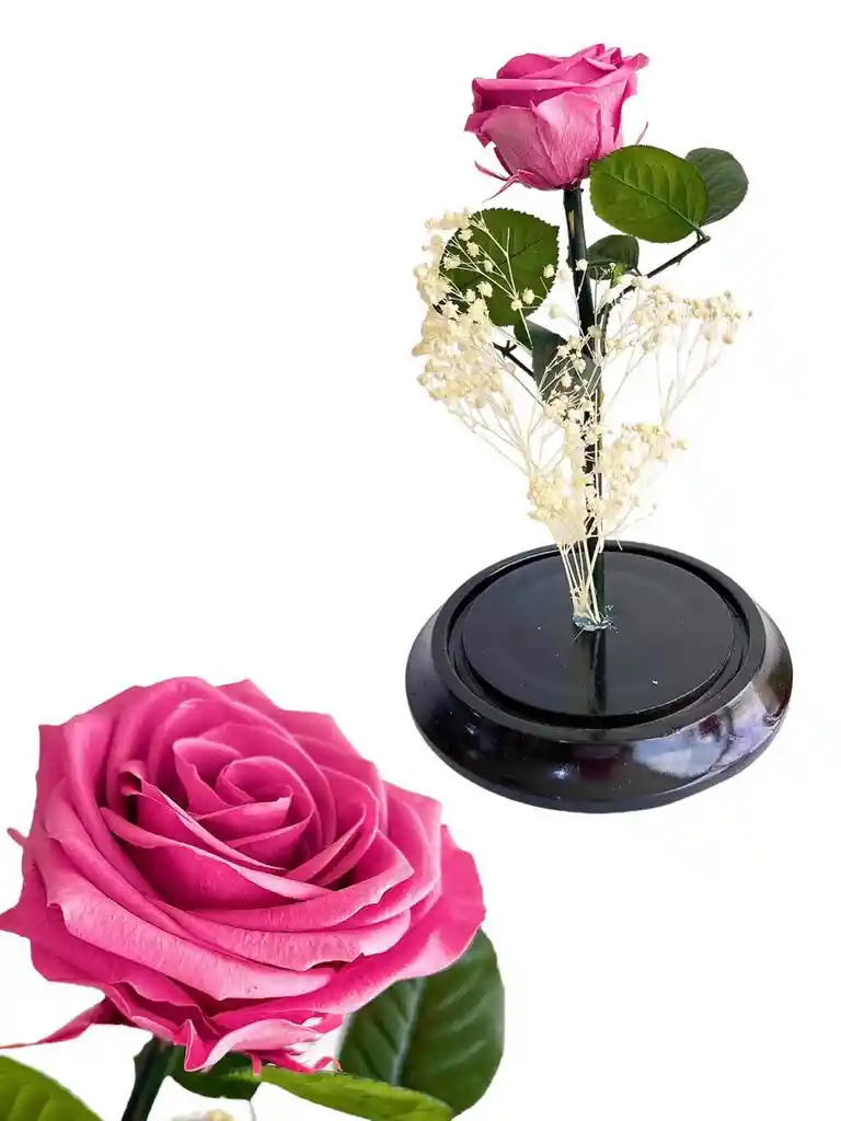 Rosa Inmortalizada Palo De Rosa - Rosa Preservada - Regalo Feliz Dia De Amor Y Amistad - Regalo Especial