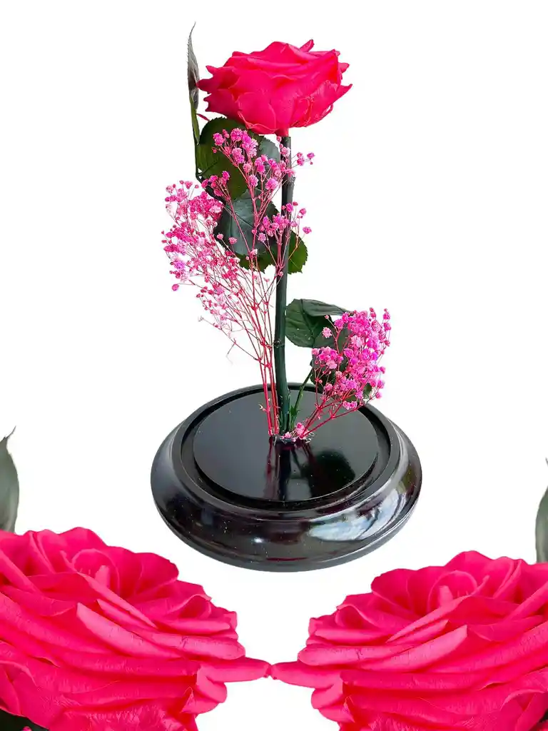 Rosa Inmortalizada Fucsia - Rosa Preservada - Regalo Feliz Dia De Amor Y Amistad - Regalo Especial