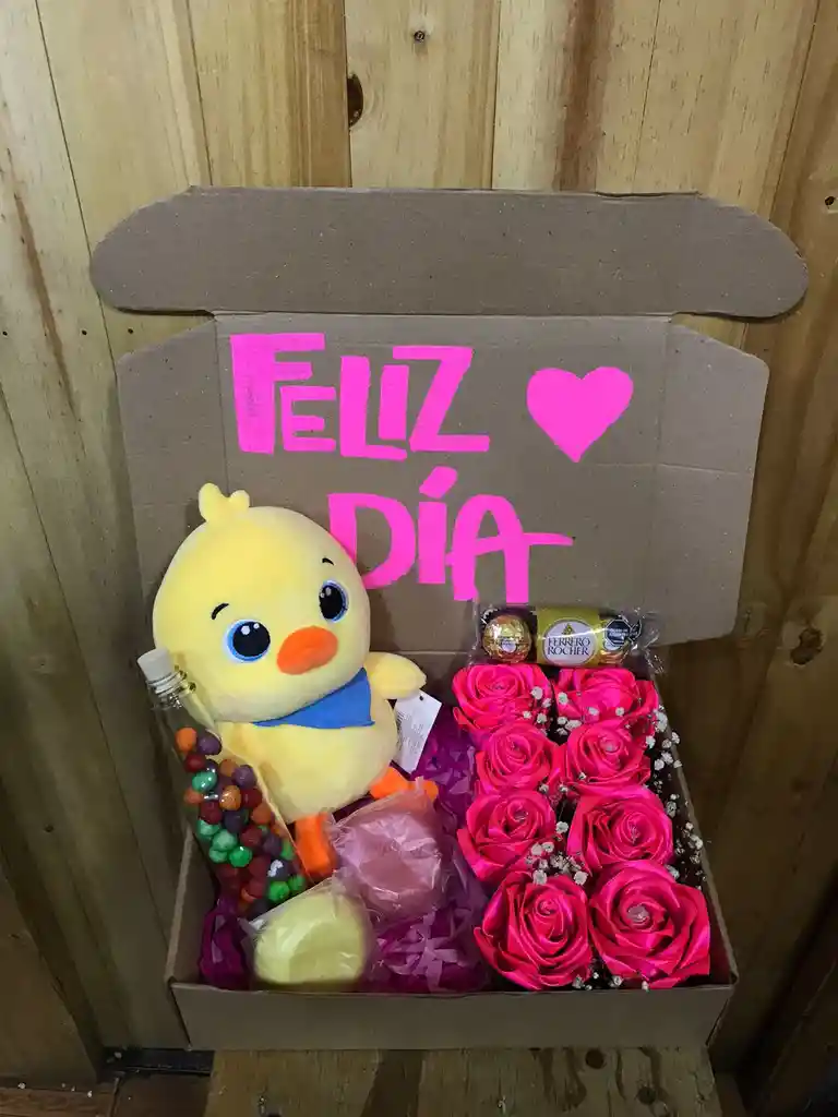 Sorpresa Peluche Día De La Madre