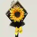 Girasol