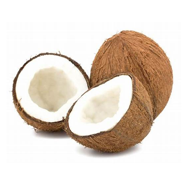 Coco Und - Rappi