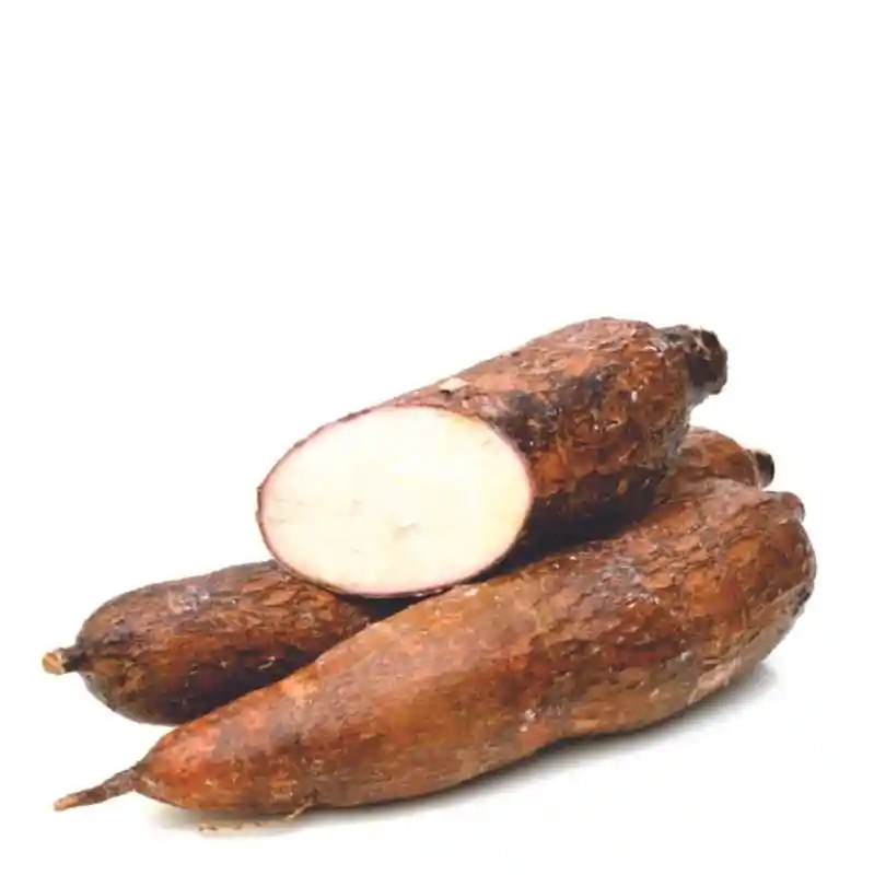 Yuca Und