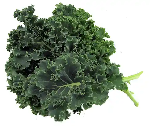 Kale Und