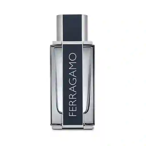 Ferragamo Men Edt 100ml