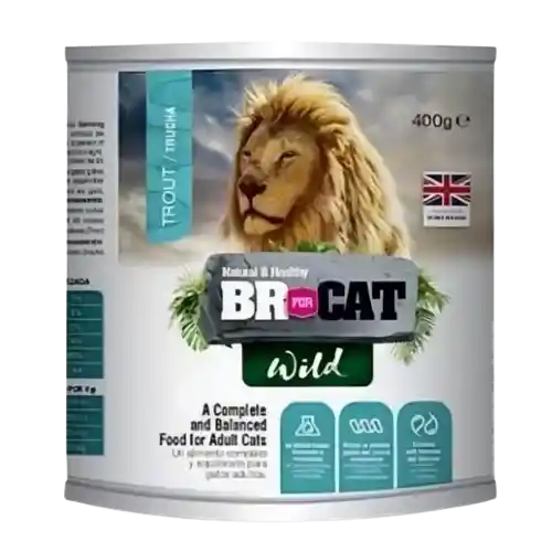 Br For Cat Wild Trout Lata 400 Gr