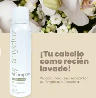 Shampoo Seco