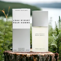 Perfume Issey Miyake Masculino L’eau D’issey Pour Homme Edt 125ml Aaa