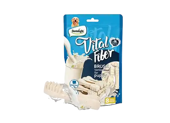 Vital Fiber Leche/vainilla Dog 12und 3 80gr