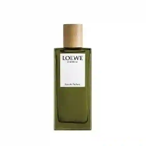 Perfume Hombre De Loewe Esencia Edp 100 Ml