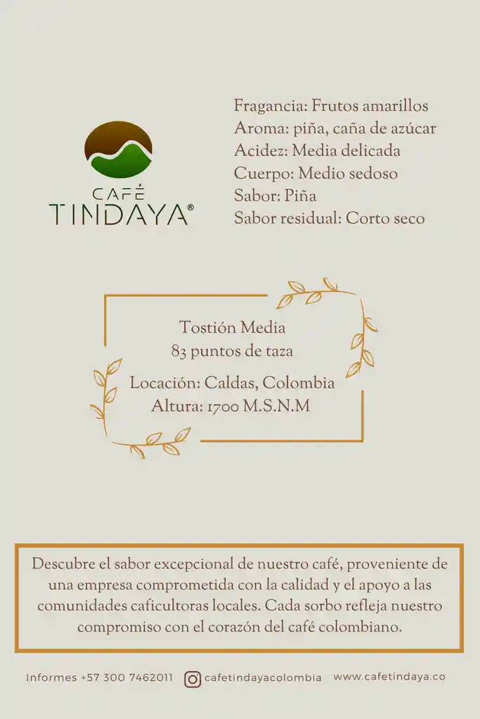 Café Tindaya - Caldas Molido