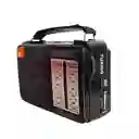 Radio Recargable 4 Bandas Usb Sd Analogo + Control Sonivox