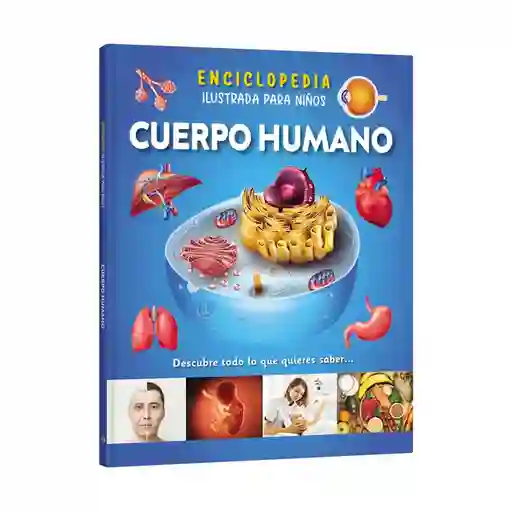 Libro Enciclopedia Del Cuerpo Humano Lexus