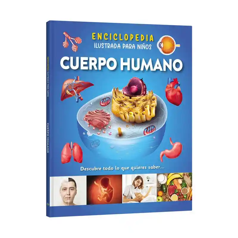 Libro Enciclopedia Del Cuerpo Humano Lexus