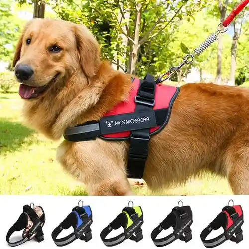 Arnes Pechera Para Perro Antitirones Xl Negro