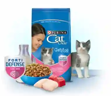 Cat Chow Gatitos Carne A Granel