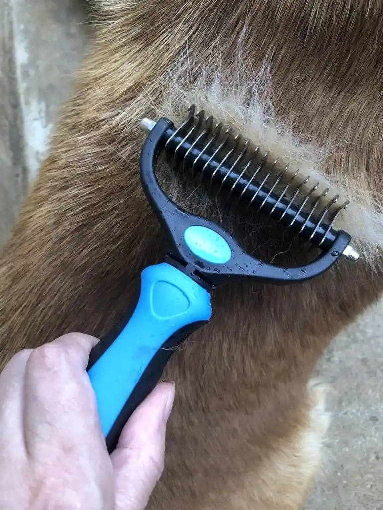 Cepillo Portátil Para Desenredar Pelo De Perros Y Gatos