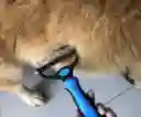 Cepillo Portátil Para Desenredar Pelo De Perros Y Gatos