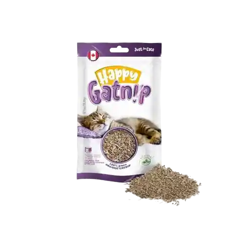 Snack Happy Gatnip X1oz