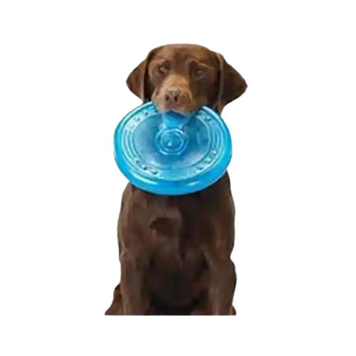 Petstages Perro Orka Frisbee