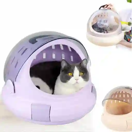 Cama Cápsula Portátil Para Gatos