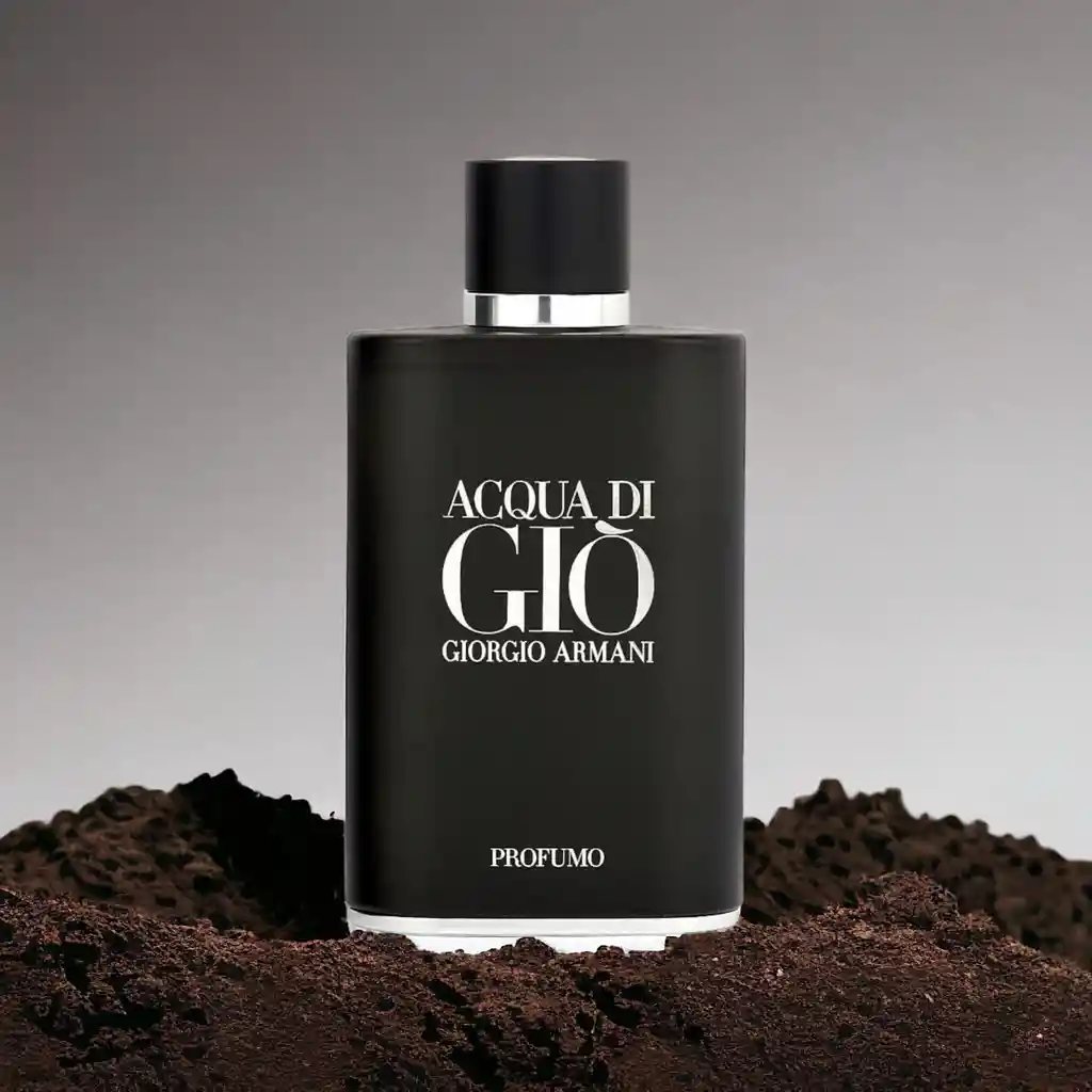 Perfume Profumo Acqua Di Gio De Giorgio Armani Para Hombre Edt X 100 Ml