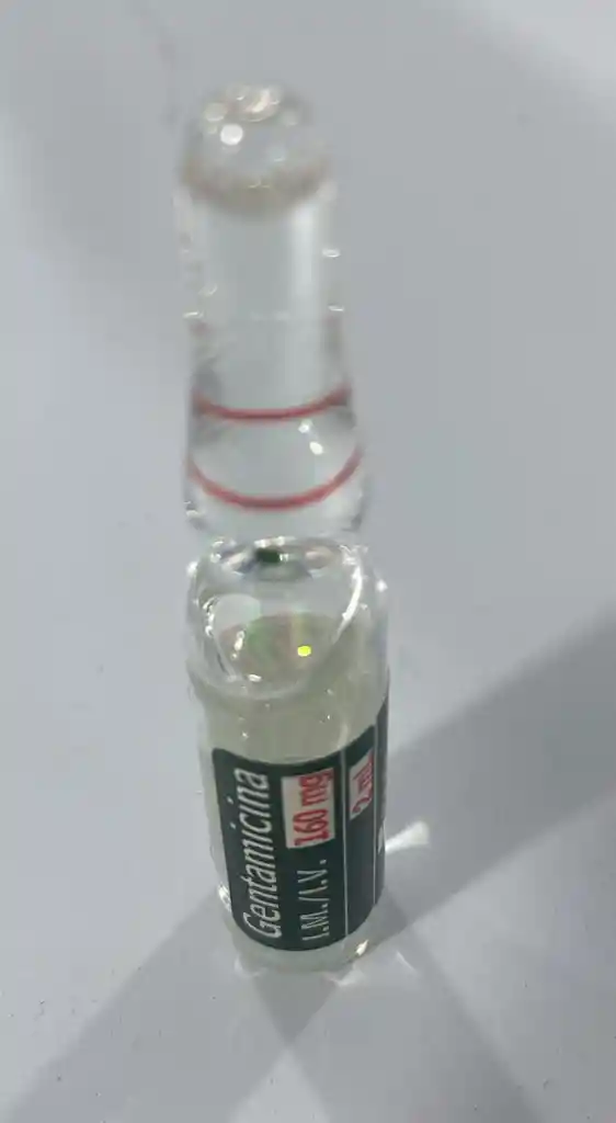 Gentamicina De 160mg Por 2ml Ampolla.