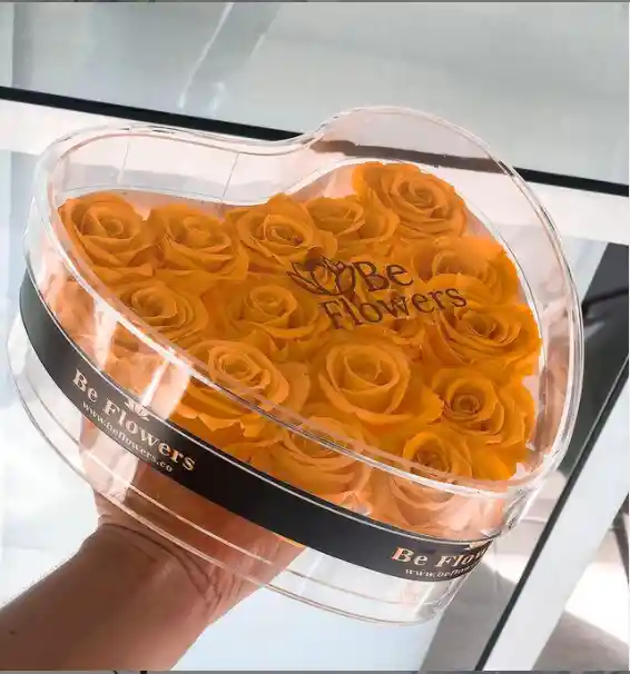Rosas Preservadas En Corazón De Acrílico
