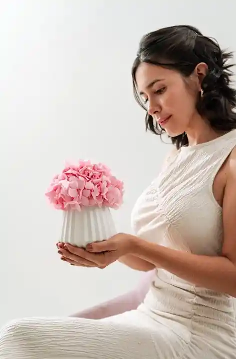 Hortensia Preservada